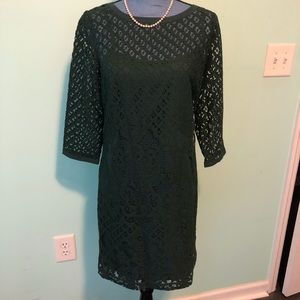 NWT Ann Taylor delicate lace dress